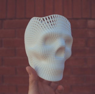 white 3D-printed skull scale model